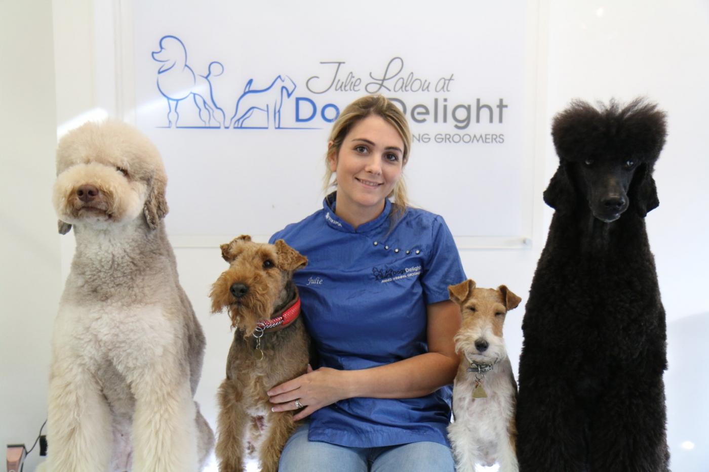 Dog grooming deals courses